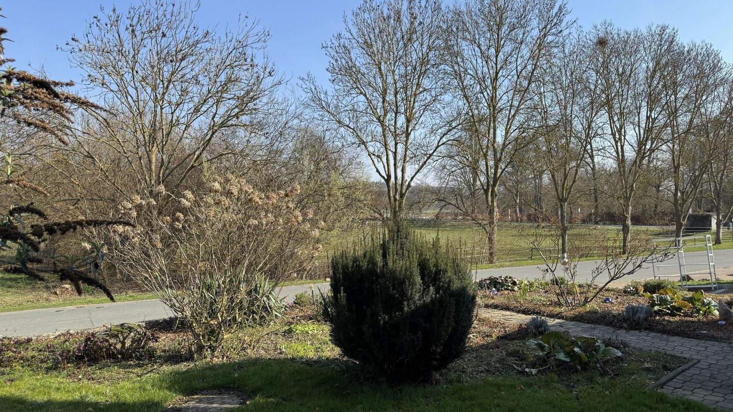 Einfamilienhaus zum Kauf - Ansicht 3