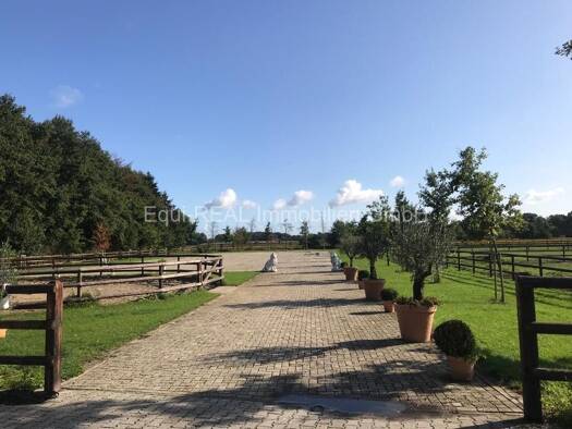 Reiterhof zum Kauf 70.000 m² Grundstück Haselünne 49740
