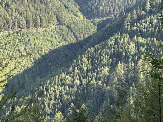 Forstwirtschaft zum Kauf 326.760 m² Grundstück Breitenau am Hochlantsch 8614
