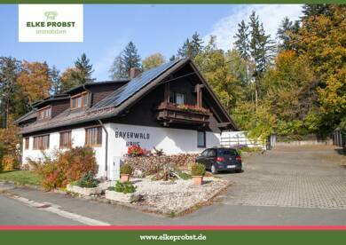 Wohnung zum Kauf provisionsfrei 69.800 € 2 Zimmer 1. Geschoss frei ab sofort Heinzlgrün 11 Heinzlgrün Waldmünchen 93449
