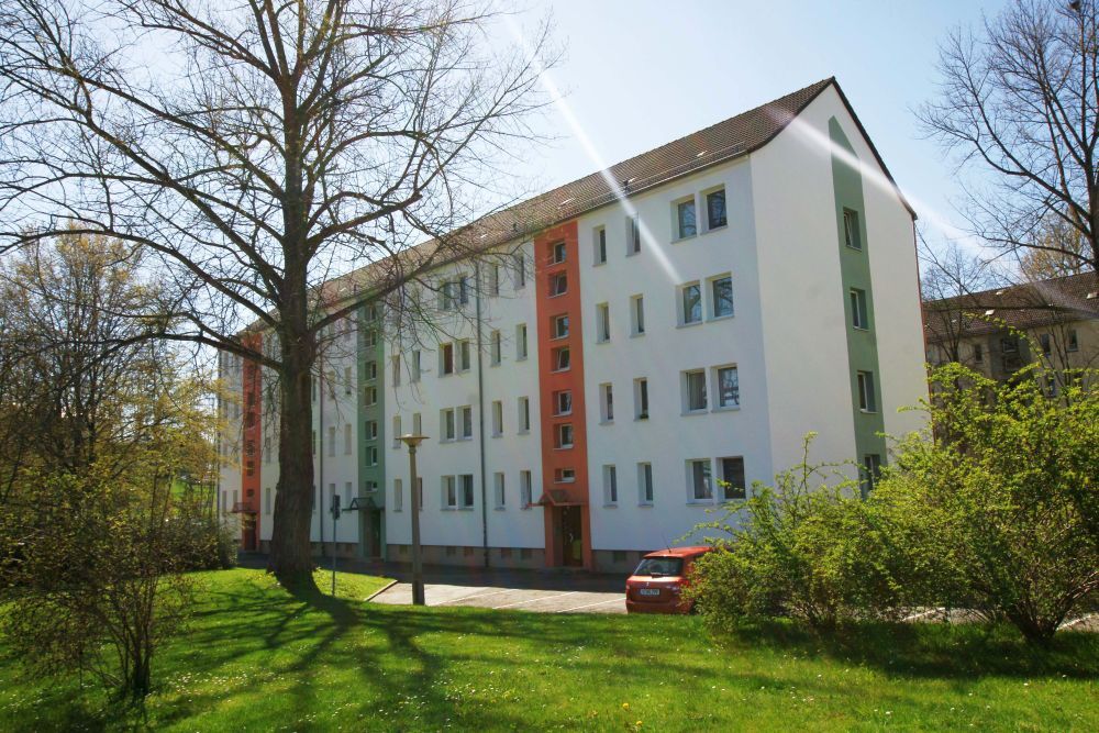 Wohnung zur Miete 256 € 2 Zimmer 47,5 m²<br/>Wohnfläche 1.<br/>Geschoss Alte Reichenbacher Straße 35 Reichenbacher Vorstadt Plauen 08529