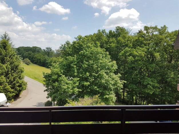 Studio zur Miete 340 € 1 Zimmer 24,5 m² 3. Geschoss Welkerstr. 114 Altensteig 72213