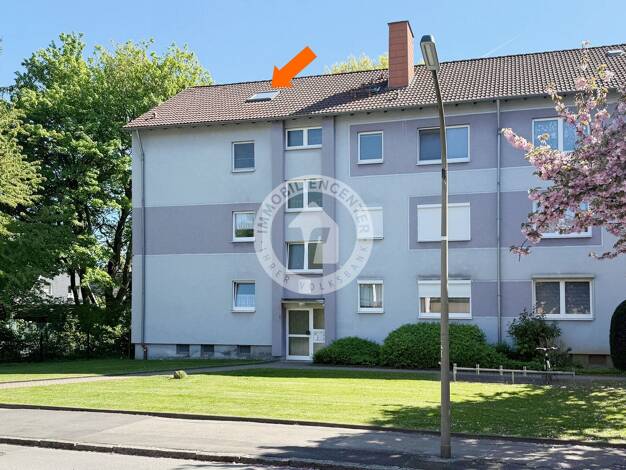Wohnung zum Kauf 75.000 € 2 Zimmer 38 m² Brackel Brackel 44309