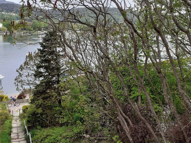 Haus zur Miete 2 Zimmer 53 m² 150 m² Grundstück Velden am Wörther See 9220