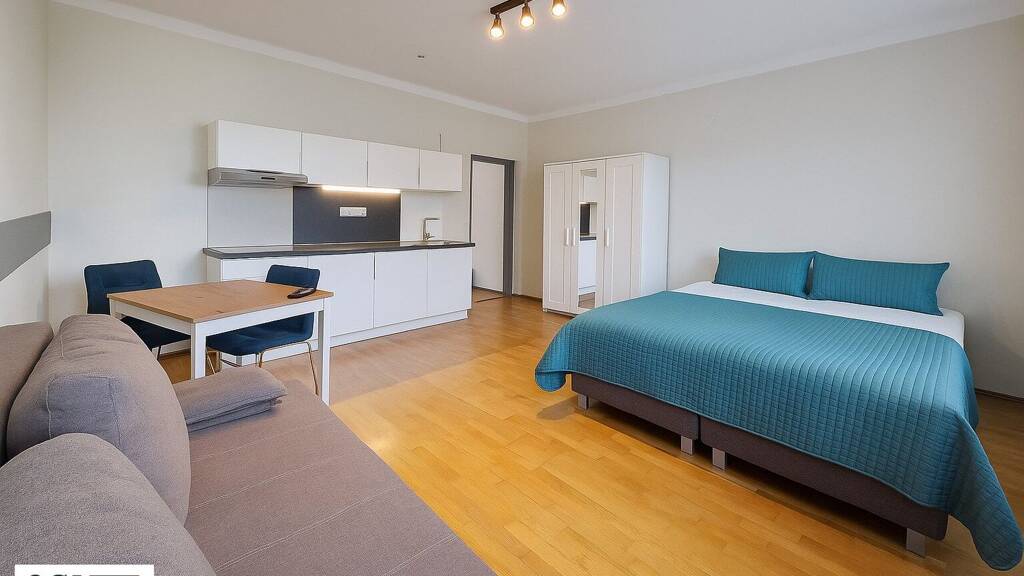 Studio zum Kauf 159.000 € 1 Zimmer 29 m² 2. Geschoss Familienplatz 3 Wien 1160