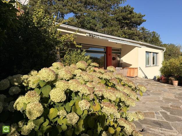 Bungalow zum Kauf 4 Zimmer 135 m² 2.189 m² Grundstück Perchtoldsdorf 2380