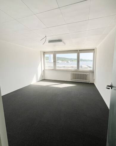 Bürofläche zur Miete 250 € 1 Zimmer 18,9 m² Bürofläche Stübach Diespeck 91456