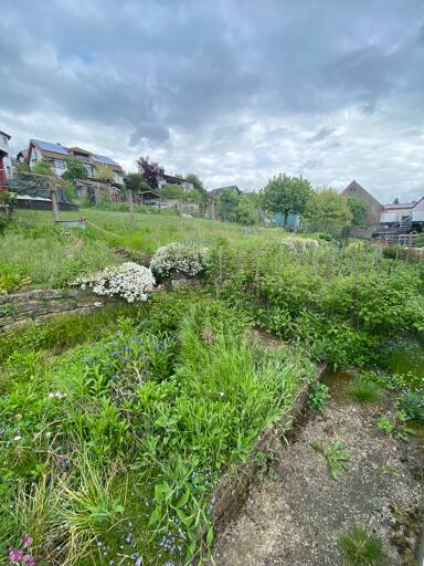 Haus zum Kauf 399.000 € 8 Zimmer 200 m² 608 m² Grundstück frei ab sofort Eisingen 75239
