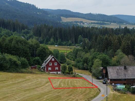 Grundstück zum Kauf 265.000 € 651 m² Grundstück Hinterzarten 79856
