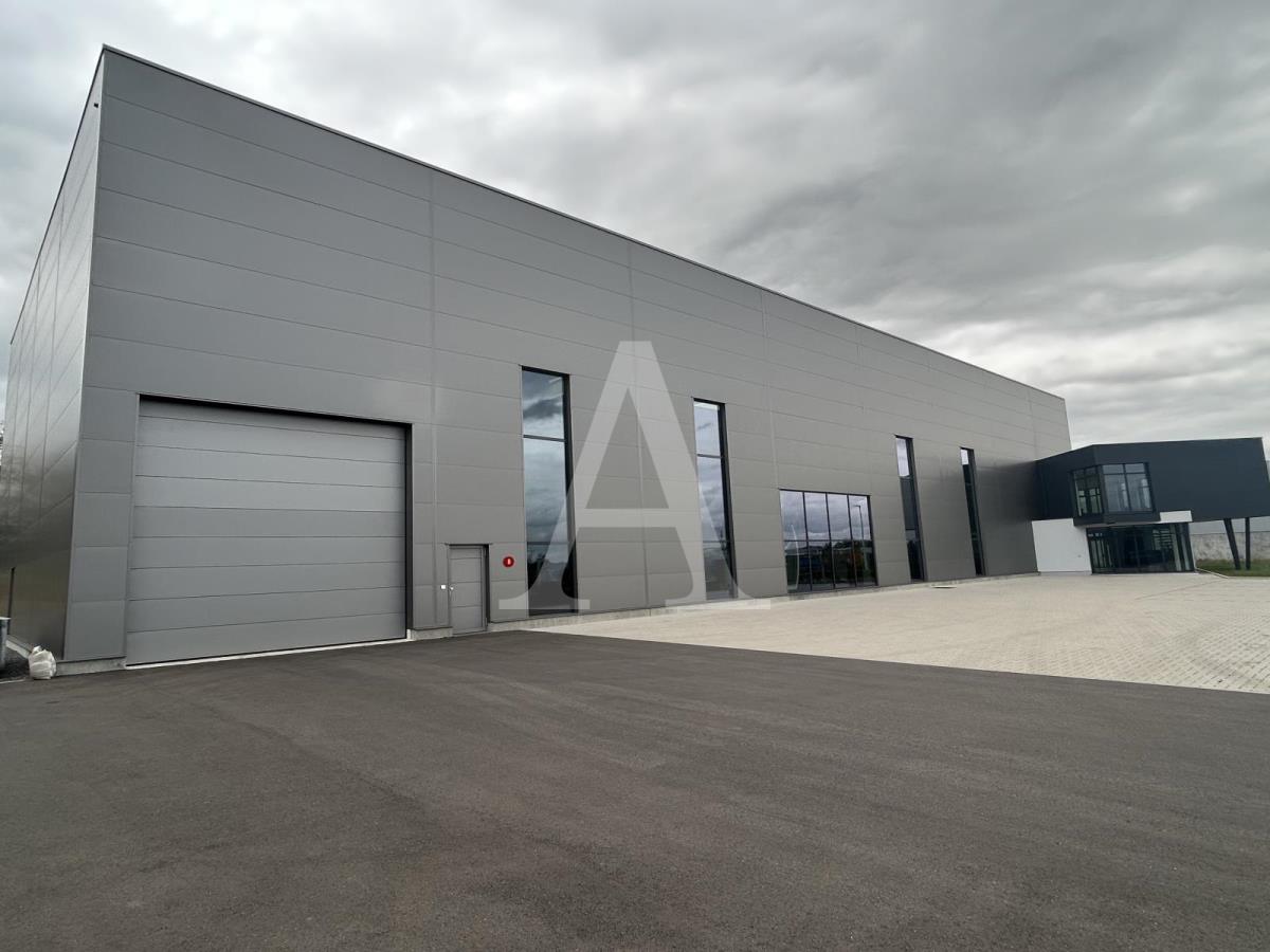 Halle/Industriefläche zur Miete 1.226 m²<br/>Lagerfläche ab 1.226 m²<br/>Teilbarkeit Wesseling / Innenstadt Wesseling 50389