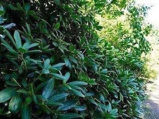 Grundstück zum Kauf 194.950 € 410 m² Grundstück Glienicke/Nordbahn 16548