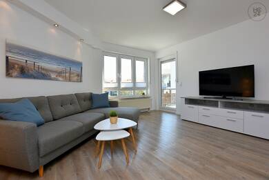 Wohnung zur Miete Wohnen auf Zeit 1.490 € 2 Zimmer 50 m² frei ab 01.06.2025 Mitte Sindelfingen 71063