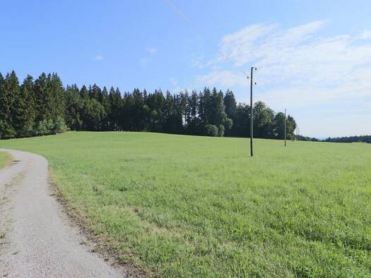 Land-/Forstwirtschaft zum Kauf 329.000 € 40.254 m² Grundstück Ingenried Ingenried 86980