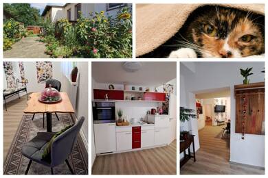 Wohnung zur Miete 395 € 2 Zimmer 40 m² frei ab sofort Goyatz Schwielochsee 15913