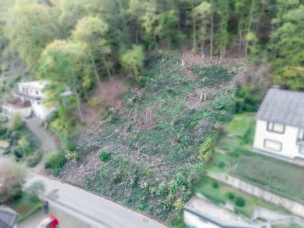 Grundstück zum Kauf provisionsfrei 124.000 € 996 m² Grundstück Uhlenbergweg 25 Bad Münstereifel Bad Münstereifel 53902