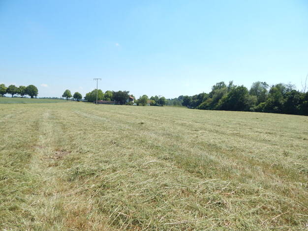 Land-/Forstwirtschaft zum Kauf 446.000 € 20.777 m² Grundstück Stadtplatz 6 a Tittmoning Tittmoning 84529