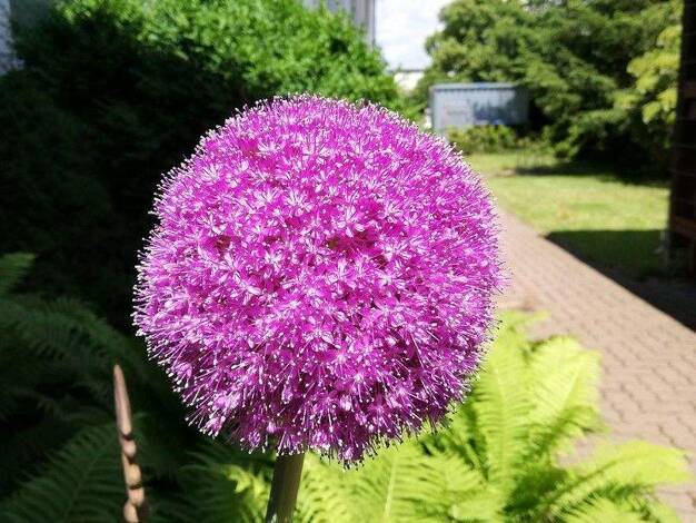 Bürofläche zur Miete provisionsfrei 480 m² Bürofläche Adersheimer Straße 17 Stadtgebiet Wolfenbüttel 38304