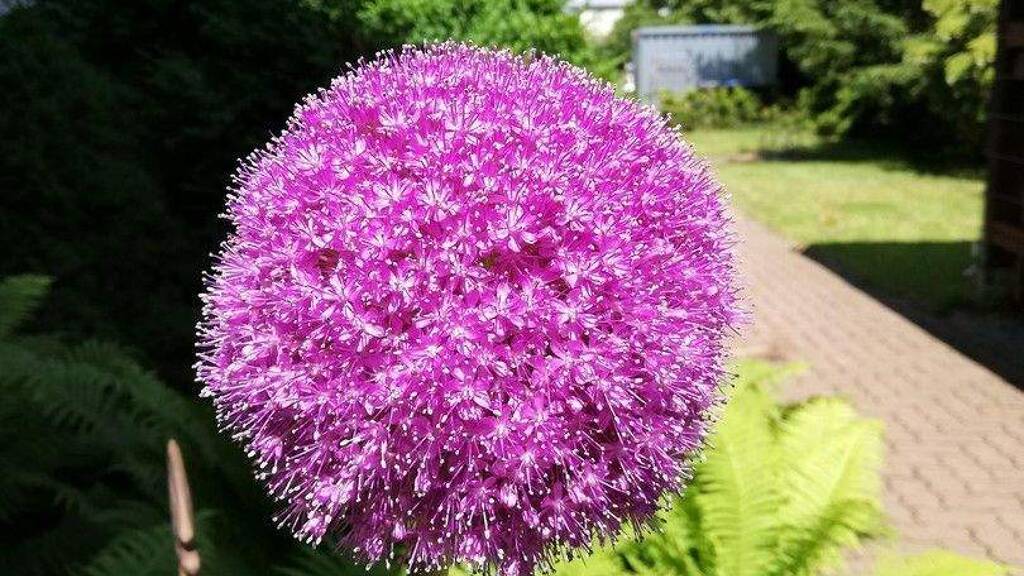 Bürofläche zur Miete provisionsfrei 4.990 € 480 m² Bürofläche Adersheimer Straße 17 Stadtgebiet Wolfenbüttel 38304