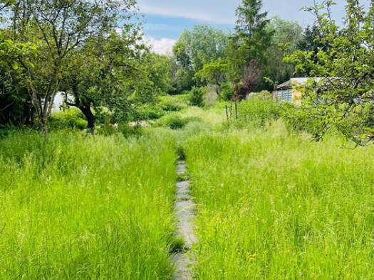 Grundstück zum Kauf 130.000 € 1.400 m² Grundstück Bad Langensalza Bad Langensalza 99947