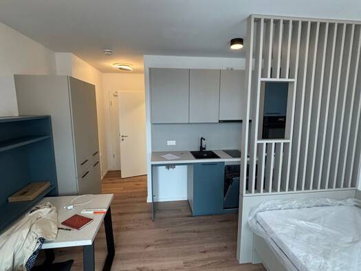 Wohnung zur Miete 680 € 1 Zimmer 24,9 m² Geschoss 3/5 frei ab sofort Steinbühler Straße 4 Tafelhof Altstadt und engere Innenstadt 90443