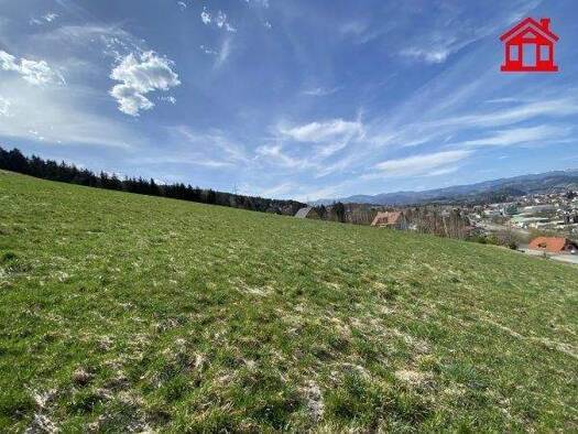 Grundstück zum Kauf 91.000 € 984 m² Grundstück Voitsberg 8570