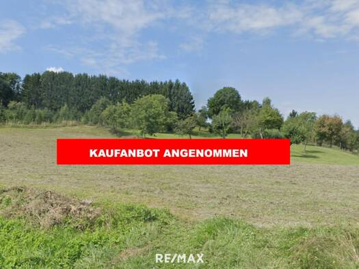 Grundstück zum Kauf 49.000 € 2.695 m² Grundstück Untere Bergstraße Bocksdorf 7553