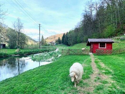 Wohnung zur Miete 760 € 3 Zimmer 65 m² Wippingen Blaustein 89134