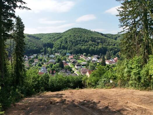 Grundstück zum Kauf 299.000 € 1.339 m² Grundstück Purkersdorf 3011