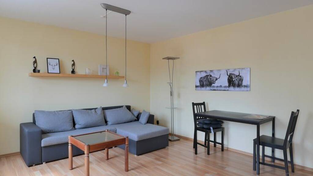 Wohnung zur Miete auf Zeit 1.050 € 2 Zimmer 56 m² frei ab sofort Eisenach 99817