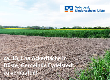 Land-/Forstwirtschaft zum Kauf 131.285 m² Grundstück Eydelstedt / Düste 49406