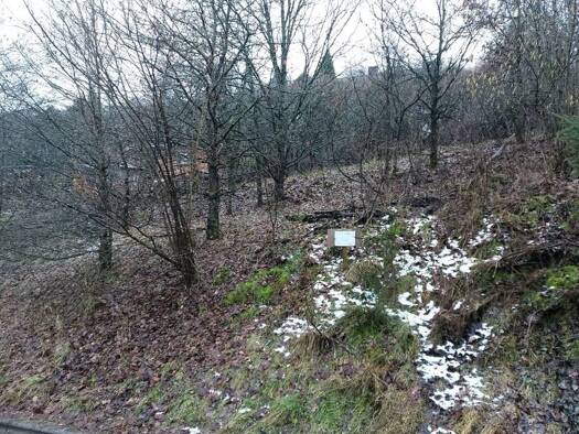 Grundstück zum Kauf 22.000 € 550 m² Grundstück Harbach 57572