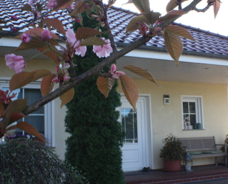 Einfamilienhaus zum Kauf provisionsfrei 549.500 € 4 Zimmer 147 m² 1.753 m² Grundstück frei ab 01.09.2025 Hohenbruch Kremmen 16766