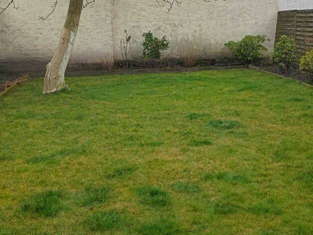 Doppelhaushälfte zum Kauf 799.000 € 6 Zimmer 240 m² 380 m² Grundstück Offenbach 63071