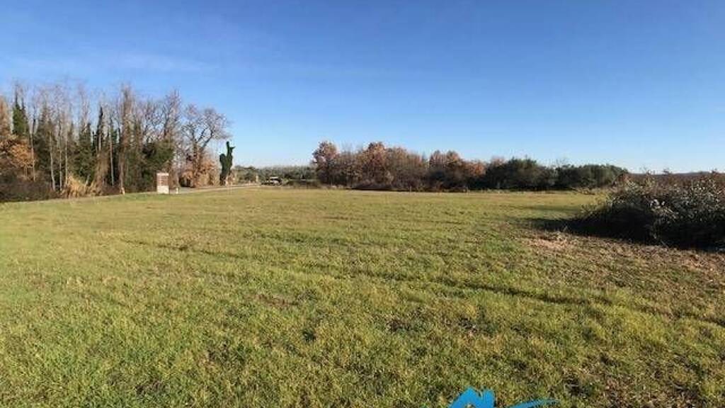 Land-/Forstwirtschaft zum Kauf Brtonigla