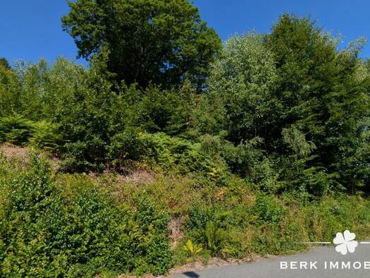 Grundstück zum Kauf 60.000 € 963 m² Grundstück Jakobsthal Heigenbrücken 63869