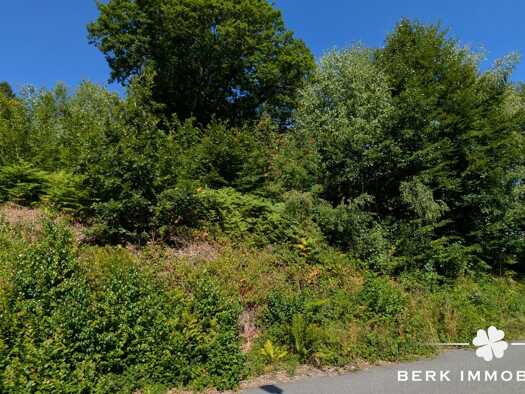 Grundstück zum Kauf 60.000 € 963 m² Grundstück Jakobsthal Heigenbrücken 63869