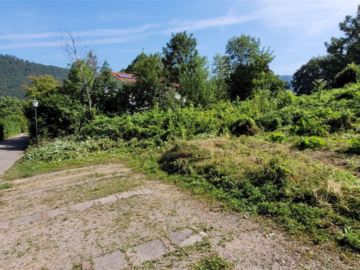 Grundstück zum Kauf 498.940 € 1.313 m² Grundstück Badenweiler 79410