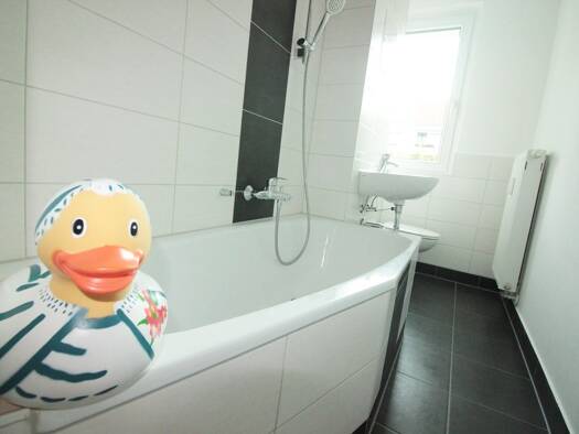 Wohnung zur Miete 296 € 2 Zimmer 49,7 m² 2. Geschoss Keplerstraße 25 Siegmar Siegmar 09117