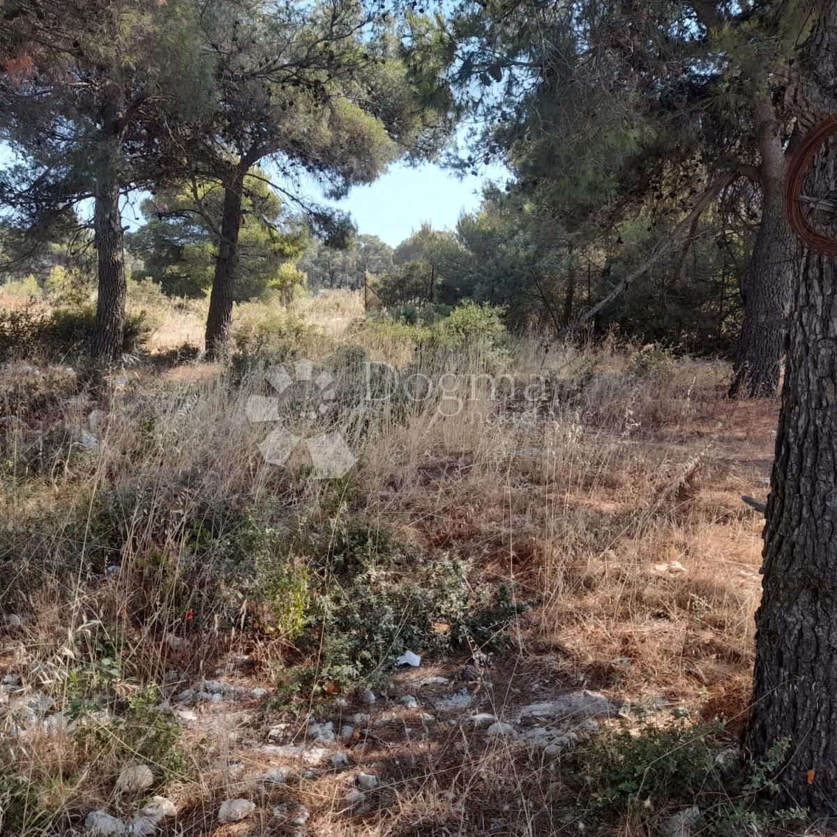 Land-/Forstwirtschaft zum Kauf 130.000 € Biograd na Moru center 23210