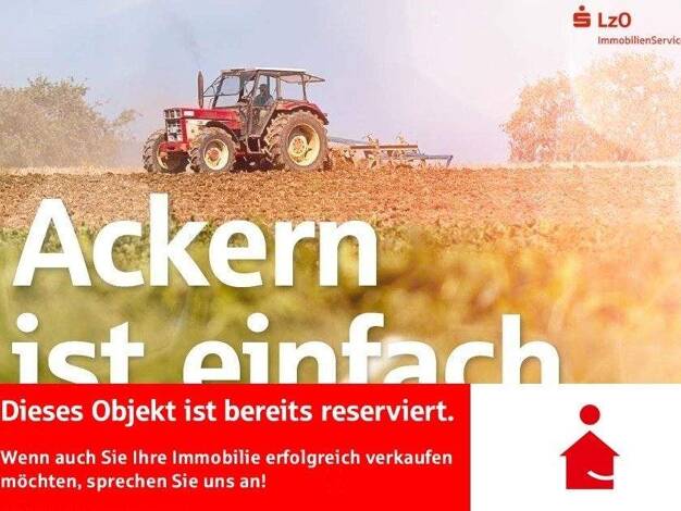 Land-/Forstwirtschaft zum Kauf 46.186 m² Grundstück Harkebrügge Barßel 26676