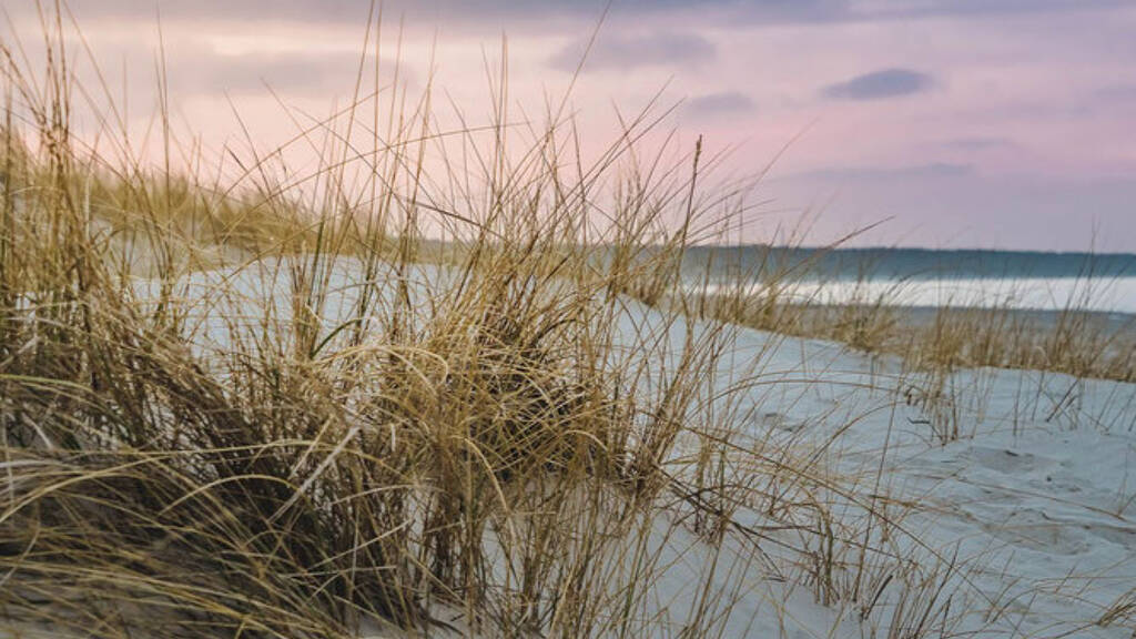 Wohnung zum Kauf - Erstbezug 914.000 € 4 Zimmer 118,2 m² Timmendorfer Strand 23669