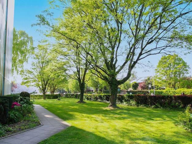 Wohnung zum Kauf 115.000 € 2 Zimmer 64 m² 1. Geschoss Ost Alsdorf 52477