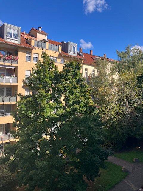 Property thumbnail 13