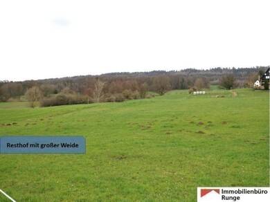 Bauernhaus zum Kauf 365.000 € 350 m² 40.000 m² Grundstück Antendorf Auetal 31749