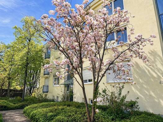 Wohnung zum Kauf 147.000 € 2 Zimmer 55 m² EG Pieschen-Nord/Trachenberge Ortsamtsbereich Pieschen 01129