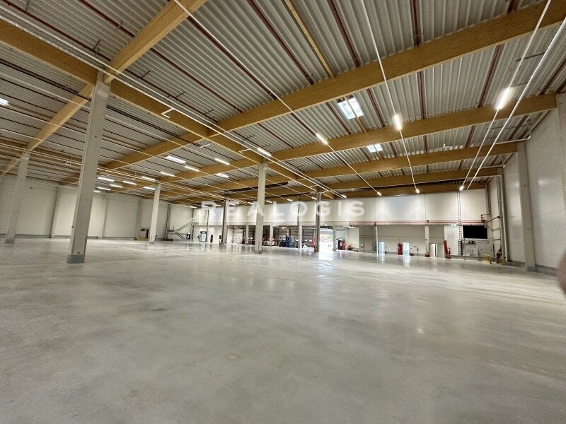 Halle/Industriefläche zur Miete 3.000 m²<br/>Lagerfläche Bad Hersfeld Bad Hersfeld 36251