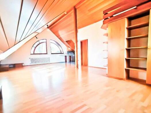 Studio zur Miete 750 € 1 Zimmer 54 m² Geschoss 2/3 frei ab 15.11.2026 Radolfzell Radolfzell am Bodensee 78315