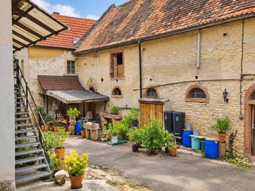Bauernhaus zum Kauf 279.000 € 6 Zimmer 250 m² 1.953 m² Grundstück Flörsheim-Dalsheim 67592