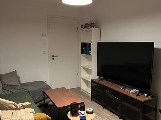 Wohnung zur Miete auf Zeit 650 € 2 Zimmer 46,4 m² frei ab 01.11.2026 Ludolfstraße 10 Trier-Süd Trier 54290