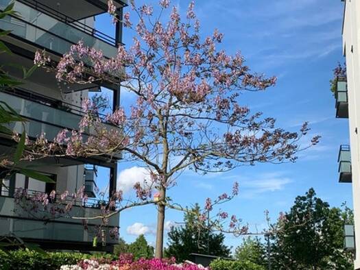 Wohnung zur Miete 900 € 2,5 Zimmer 135,4 m² Stuttgarter Str. 39 Südstadt Karlsruhe 76137